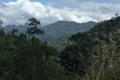 5072 7-1-19 view