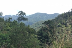 5073 7-1-19 view