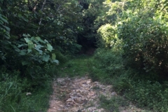 5080 7-1-19 path
