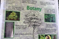 5081 7-1-19 info board