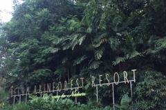 5093 7-1-19 Belum Forest