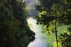 5117 8-1-19  view