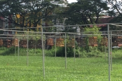 5222  11-1-19 birdcages