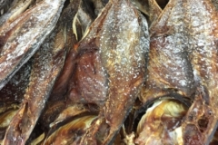 5243  11-1-19 fish