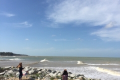 5256  11-1-19 kite