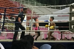 5301  12-1-19 boxing