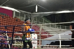 5302  12-1-19 boxing
