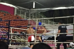 5303  12-1-19 boxing
