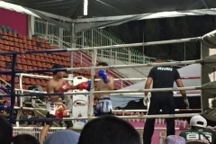 5304  12-1-19 boxing