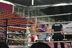 5305  12-1-19 boxing