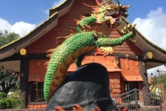 5336  14-1-19 dragon