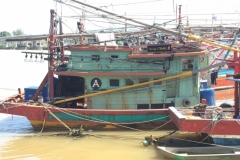 5344  14-1-19 boats