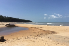 5346  14-1-19 beach