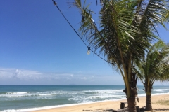5356  15-1-19 beach