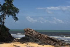 5465 20-1-19 beach
