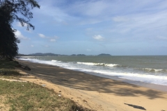 5466 20-1-19 beach