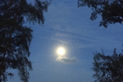 5473 20-1-19 moon
