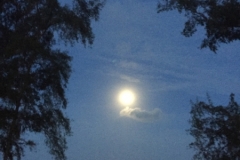 5475 20-1-19 moon