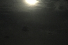 5478 20-1-19 moon