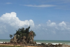5486 21-1-19 beach