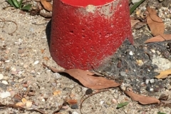 5488 21-1-19 red marker