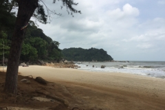 5545 25-1-19 beach