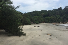 5547 25-1-19 beach