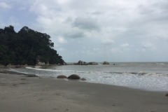 5548 25-1-19 beach