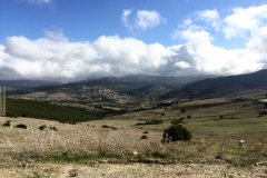 0469 24-10 View