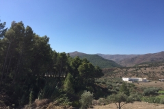 0490 24-10 View