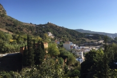 0550 26-10  Hillside