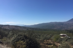 0559 27-10  View