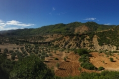 0569 27-10 Panorama View