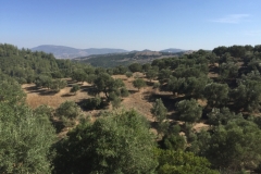 0575 28-10 View