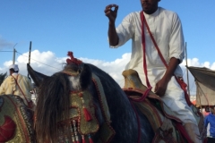 0721 4-11 Horses and riders.