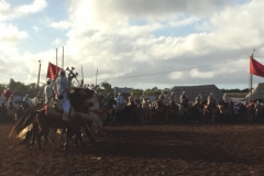 0727 4-11 Horses and riders.