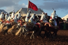 0728 4-11 Horses and riders.