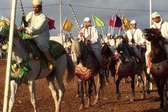 0731 4-11 Horses and riders.
