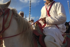 0733 4-11 Horses and riders.