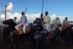 0738 4-11 Horses and riders.