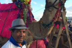 0759 4-11 Camel Horses and riders.