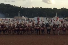 0765 4-11 Horses and riders.