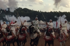 0766 4-11 Horses and riders.