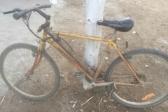 0861 11-11 bike