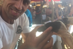0880 12-11Souk