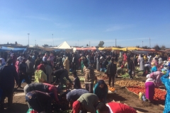 0882 12-11Souk