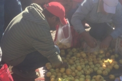 0886 12-11Souk