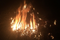 0911 12-11Bonfire