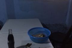 0966 14-11 Dinner