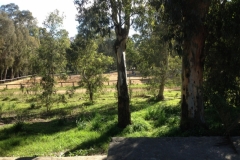 4875 15-1 Park